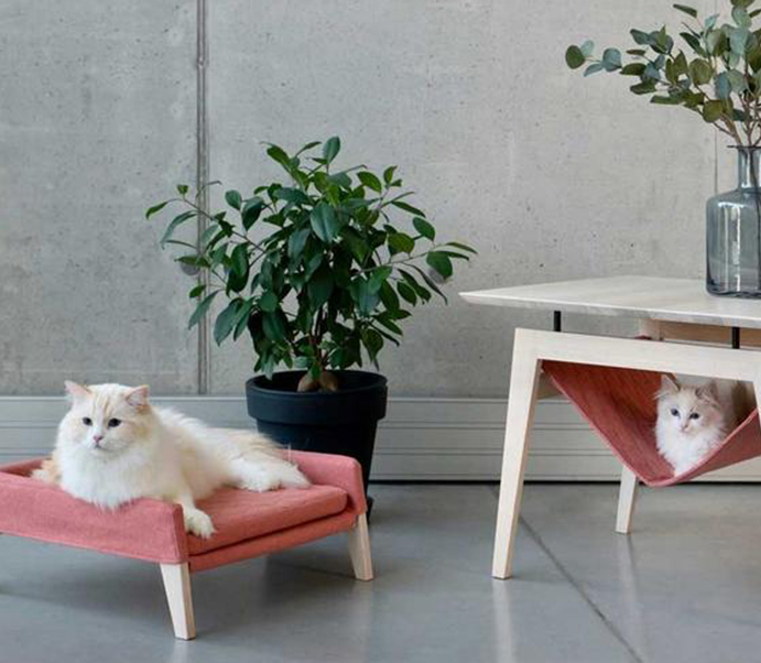 Exploration des tendances des meubles pour animaux de compagnie: ce que les fournisseurs de canapés pour animaux proposent cette année